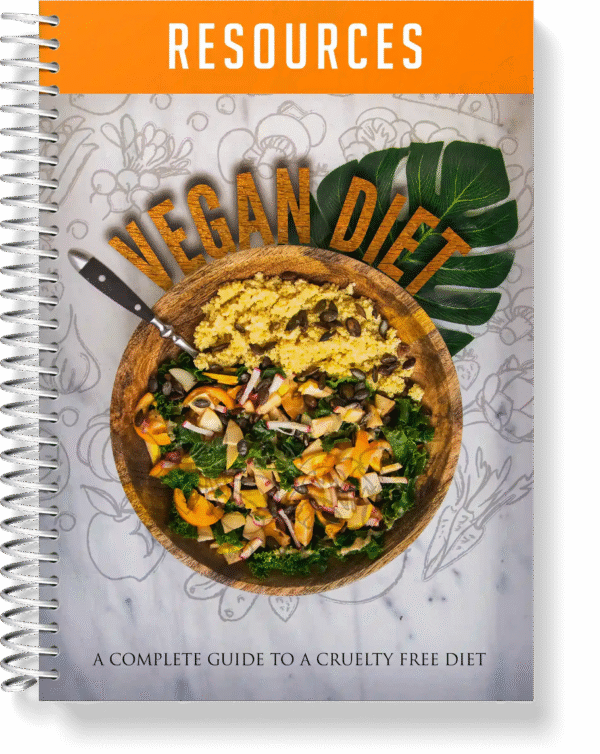 Vegan Diet - Image 3